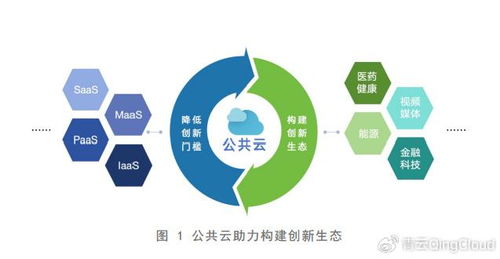 人工智能時(shí)代 公共云如何驅(qū)動數(shù)智化轉(zhuǎn)型與人工智能應(yīng)用軟件開發(fā)
